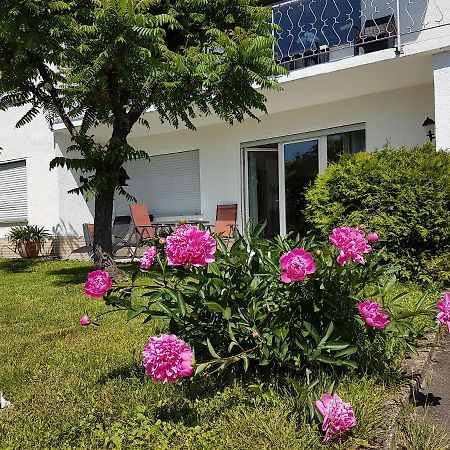 Rauszeit-Toroni Apartment Niedenstein ภายนอก รูปภาพ