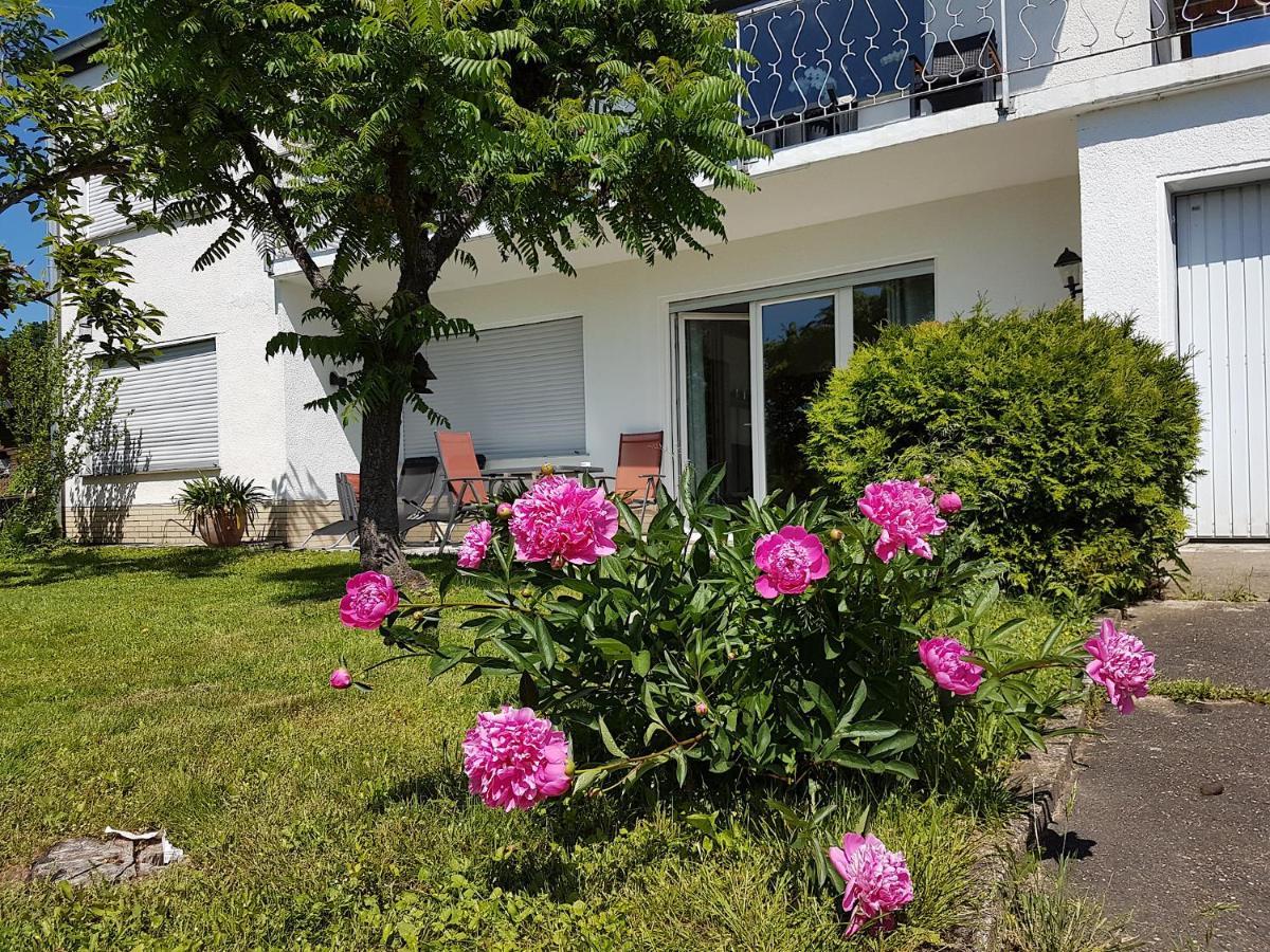 Rauszeit-Toroni Apartment Niedenstein ภายนอก รูปภาพ