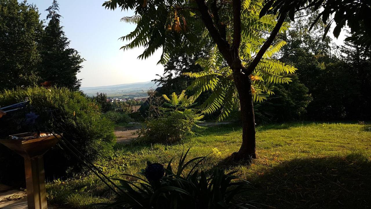 Rauszeit-Toroni Apartment Niedenstein ภายนอก รูปภาพ